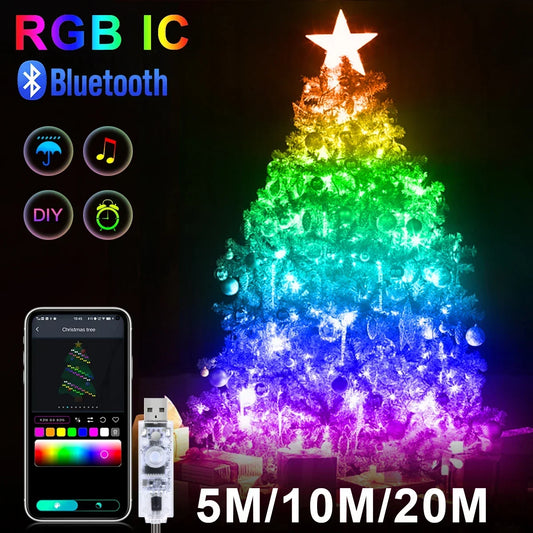 Christmas Decor Bluetooth LED