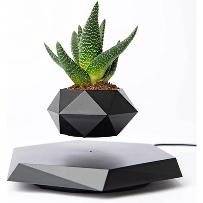 Levitating Plant Pot