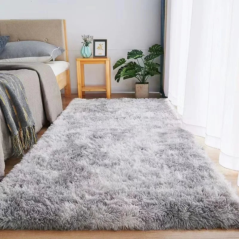 Fluffy Rug for Living Room