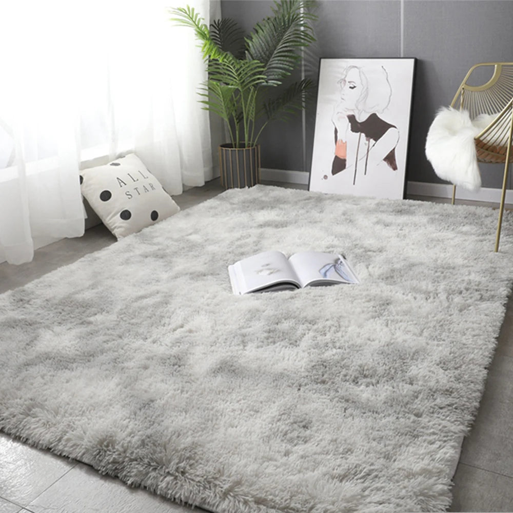 Fluffy Rug for Living Room