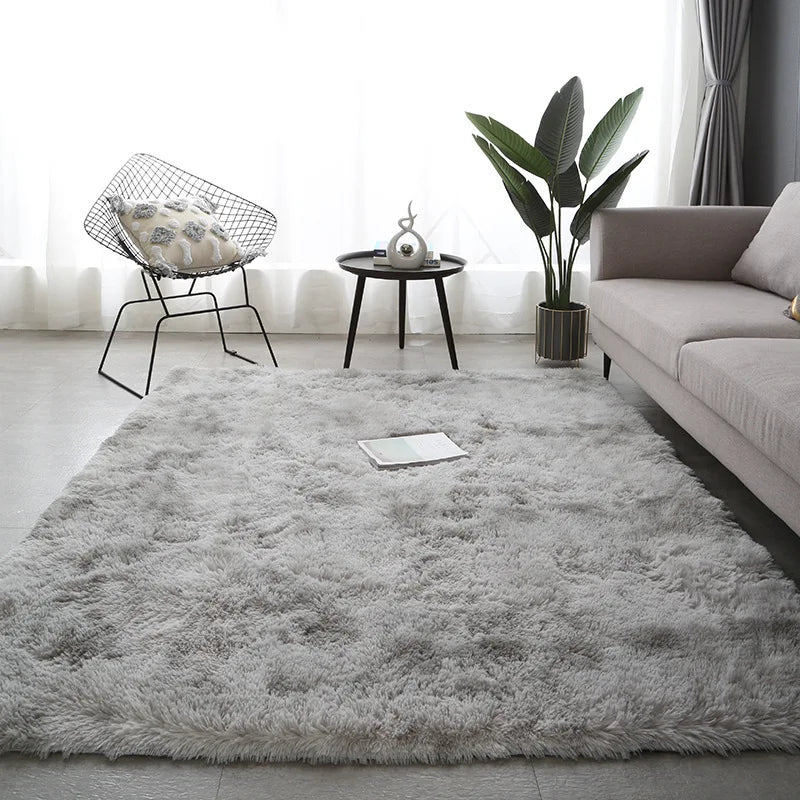 Fluffy Rug for Living Room